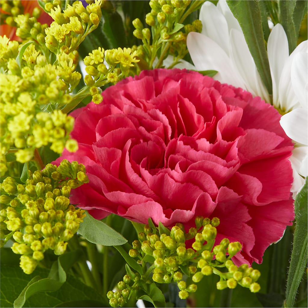 Oopsie Daisy Bouquet –  Millennial Florist, Hartsdale NY