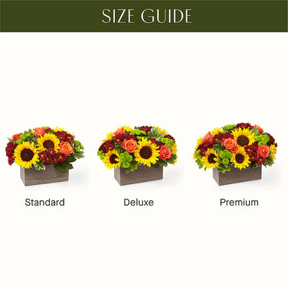 Happy Harvest Garden –  Millennial Florist, Hartsdale NY