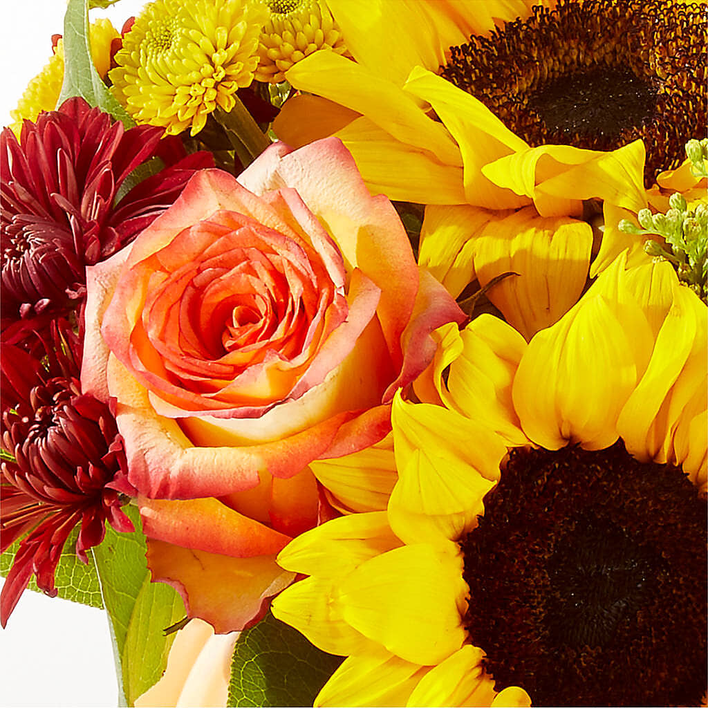 Golden Gourd Pumpkin Bouquet –  Millennial Florist, Hartsdale NY