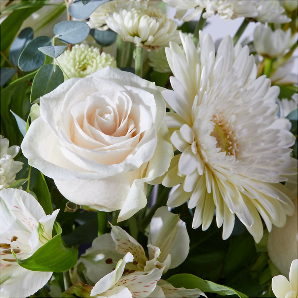 New Beginnings – A Florist Original –  Millennial Florist, Hartsdale NY