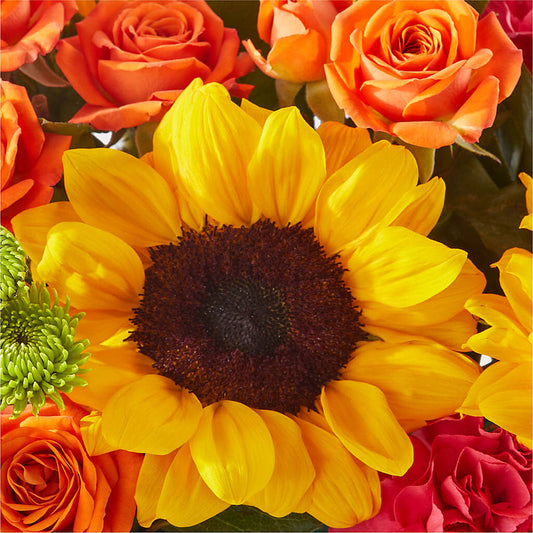 Sun-drenched Blooms Box Bouquet –  Millennial Florist, Hartsdale NY
