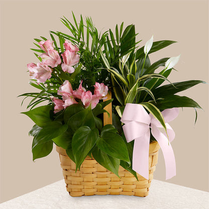 Living Spirit Dishgarden –  Millennial Florist, Hartsdale NY
