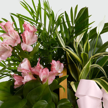 Living Spirit Dishgarden –  Millennial Florist, Hartsdale NY