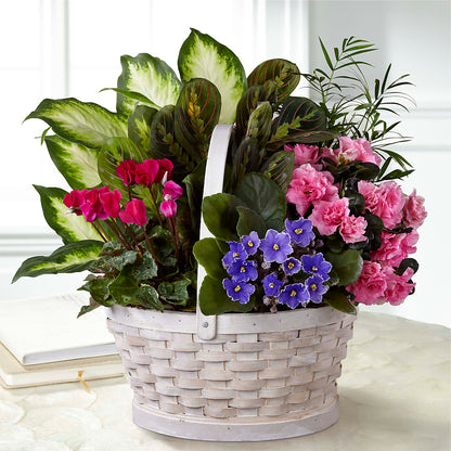 Peaceful Garden Planter –  Millennial Florist, Hartsdale NY