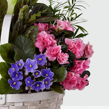 Peaceful Garden Planter –  Millennial Florist, Hartsdale NY