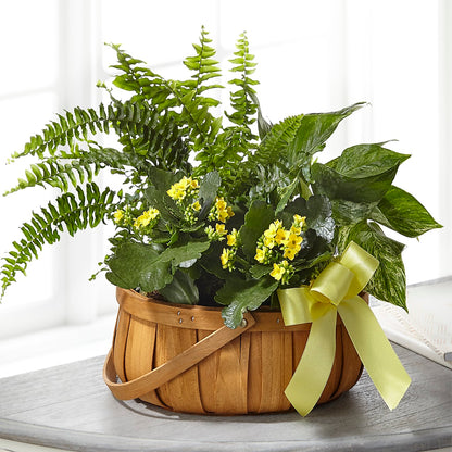 Always Dear Dishgarden –  Millennial Florist, Hartsdale NY