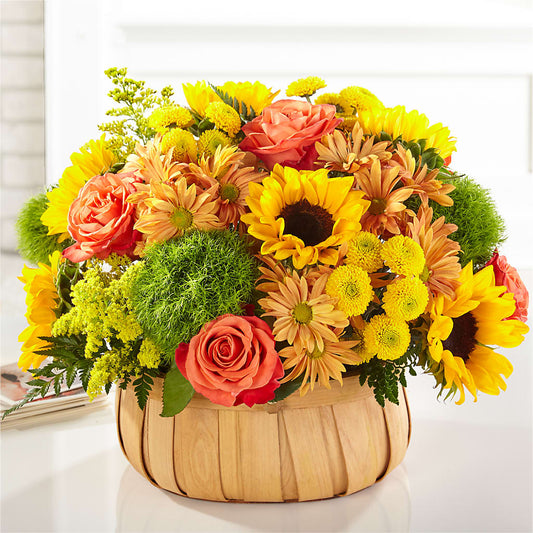 Harvest Sunflower Basket –  Millennial Florist, Hartsdale NY
