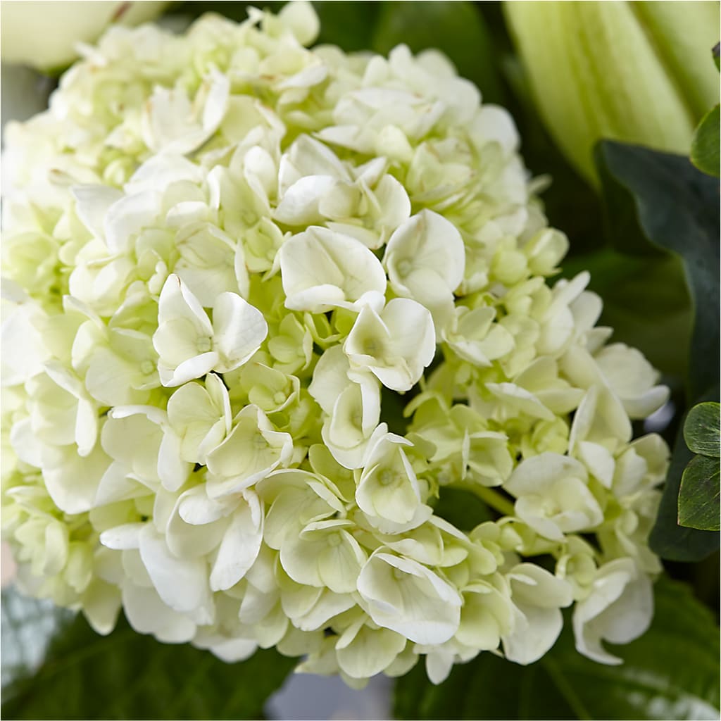 Classic Ivory – A Florist Original –  Millennial Florist, Hartsdale NY