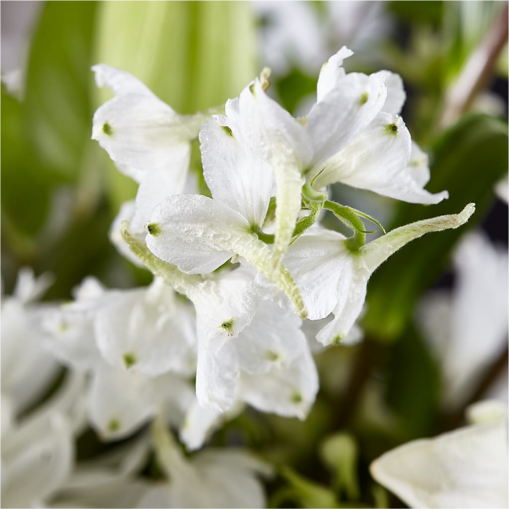 Classic Ivory – A Florist Original –  Millennial Florist, Hartsdale NY