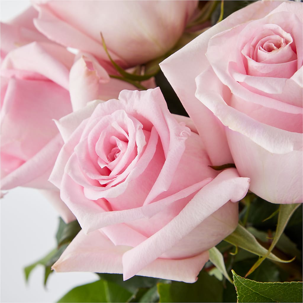 Picture Perfect Pink Rose Bouquet –  Millennial Florist, Hartsdale NY