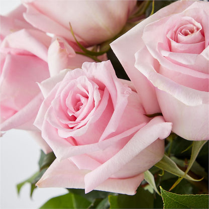 Picture Perfect Pink Rose Bouquet –  Millennial Florist, Hartsdale NY