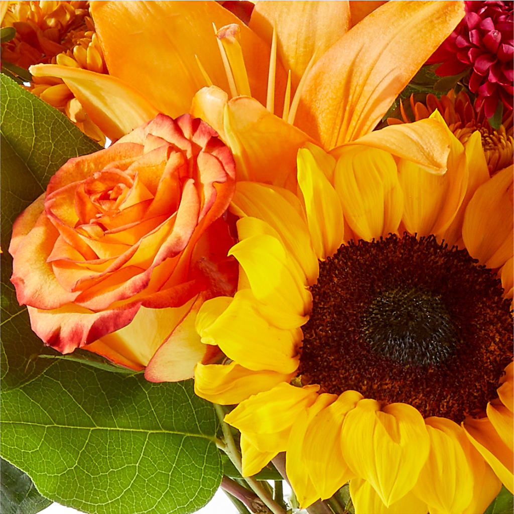 Fall Day Bouquet –  Millennial Florist, Hartsdale NY