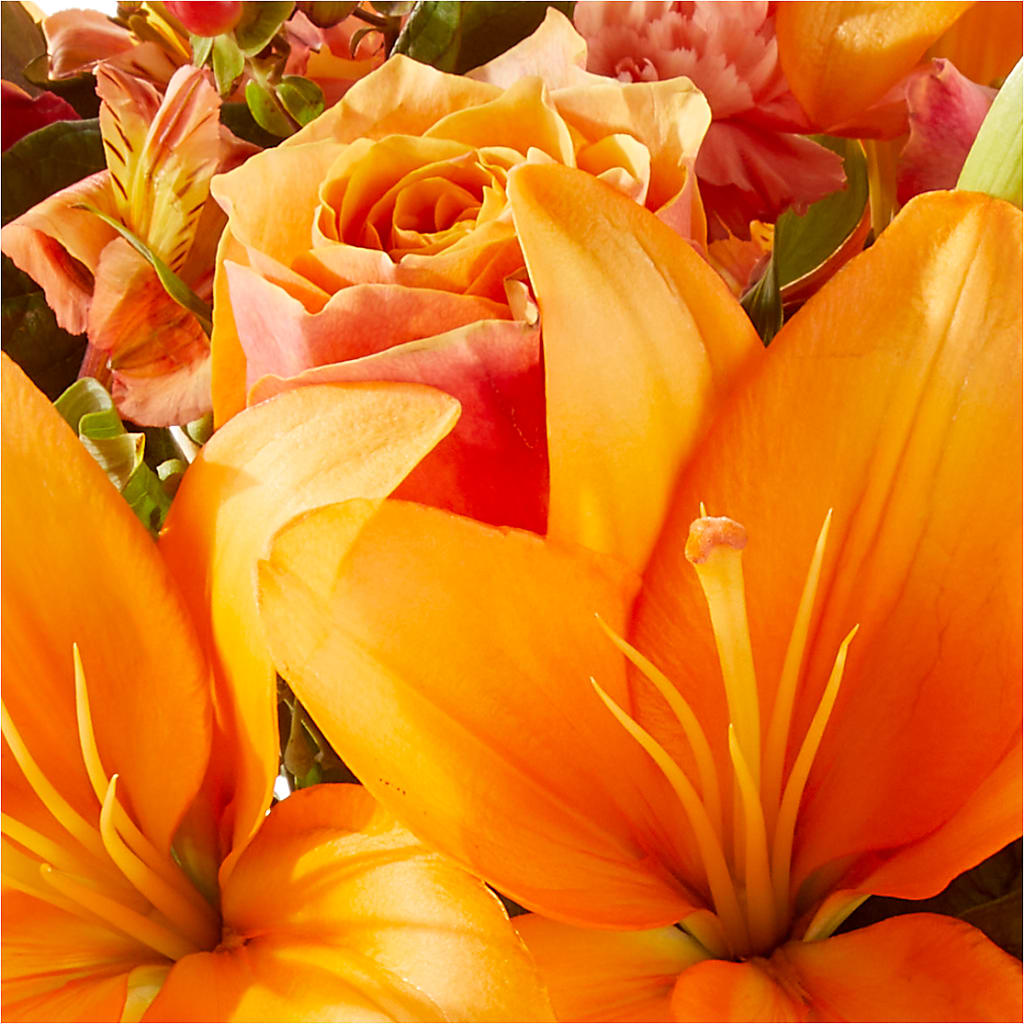 Afternoon Light Bouquet –  Millennial Florist, Hartsdale NY