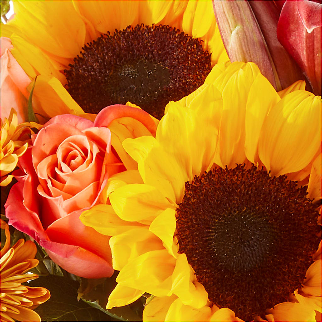 Acorn Lane Bouquet –  Millennial Florist, Hartsdale NY