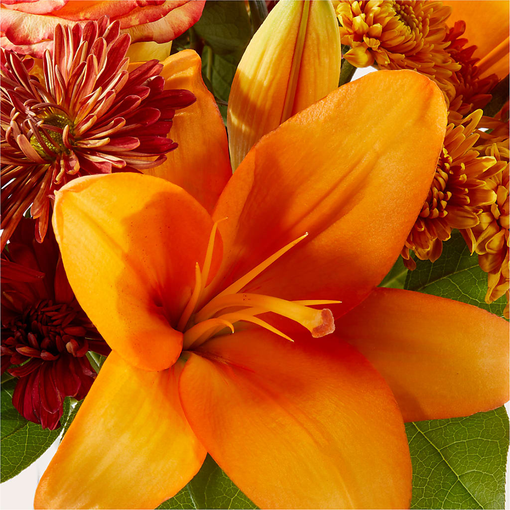 Autumnal Aroma Bouquet –  Millennial Florist, Hartsdale NY