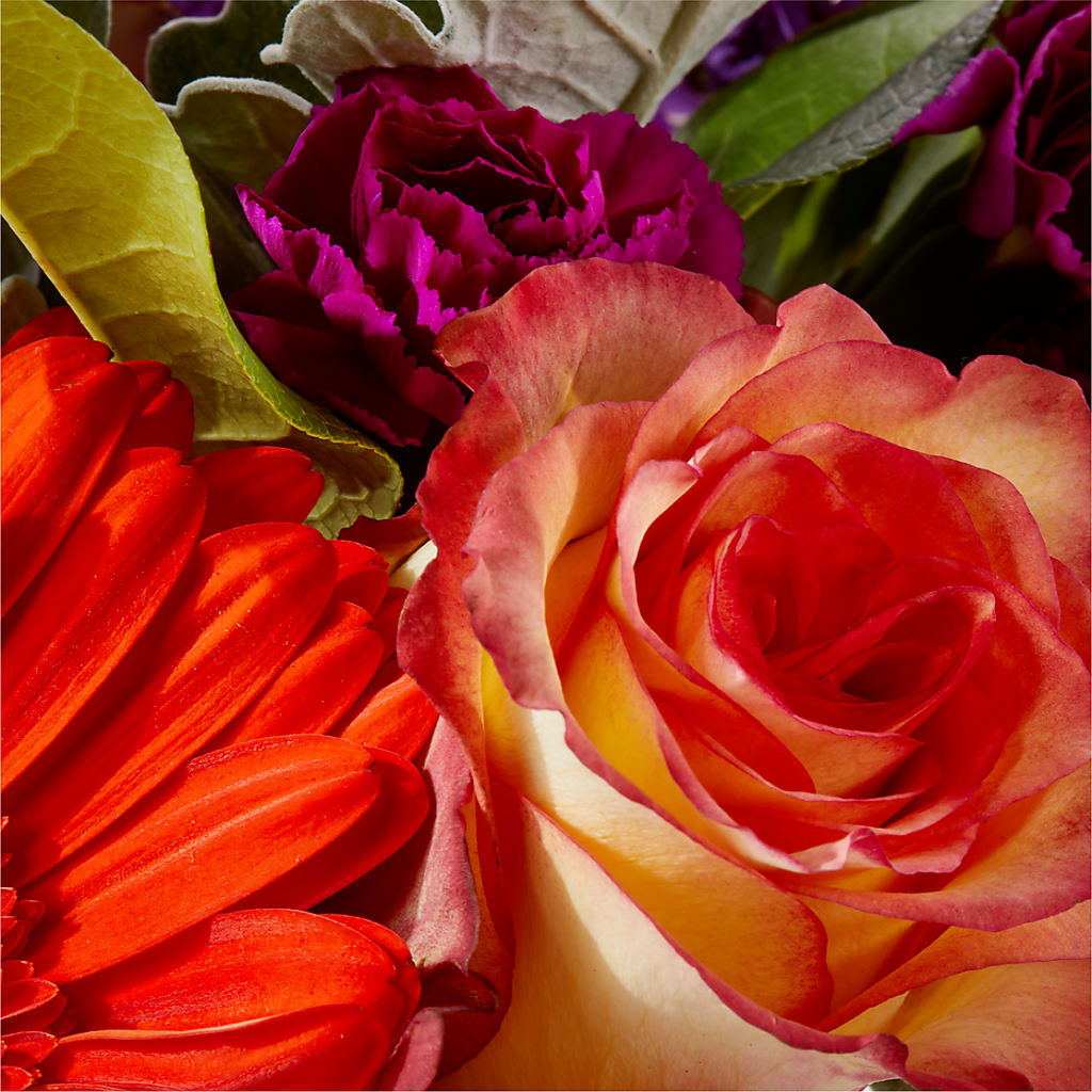 Sangria Bouquet –  Millennial Florist, Hartsdale NY