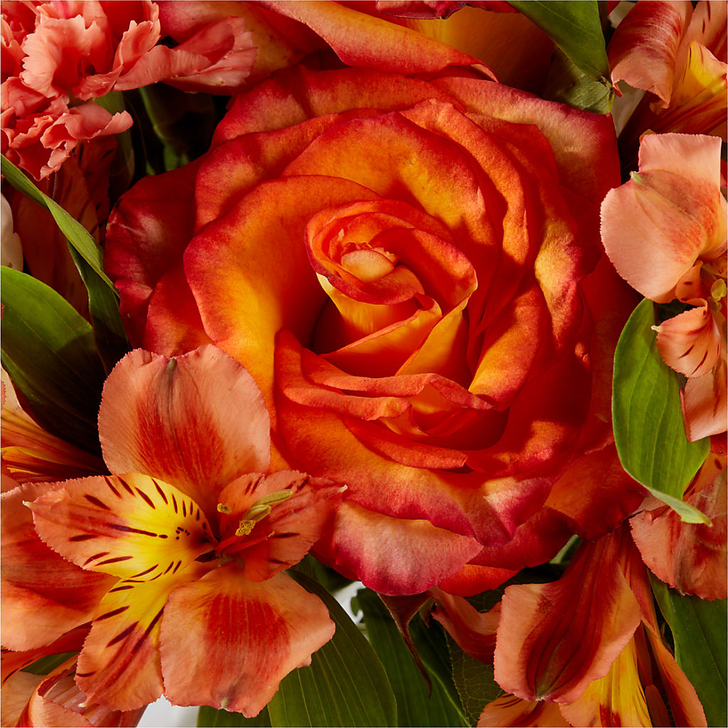 Apricot Glow Bouquet –  Millennial Florist, Hartsdale NY