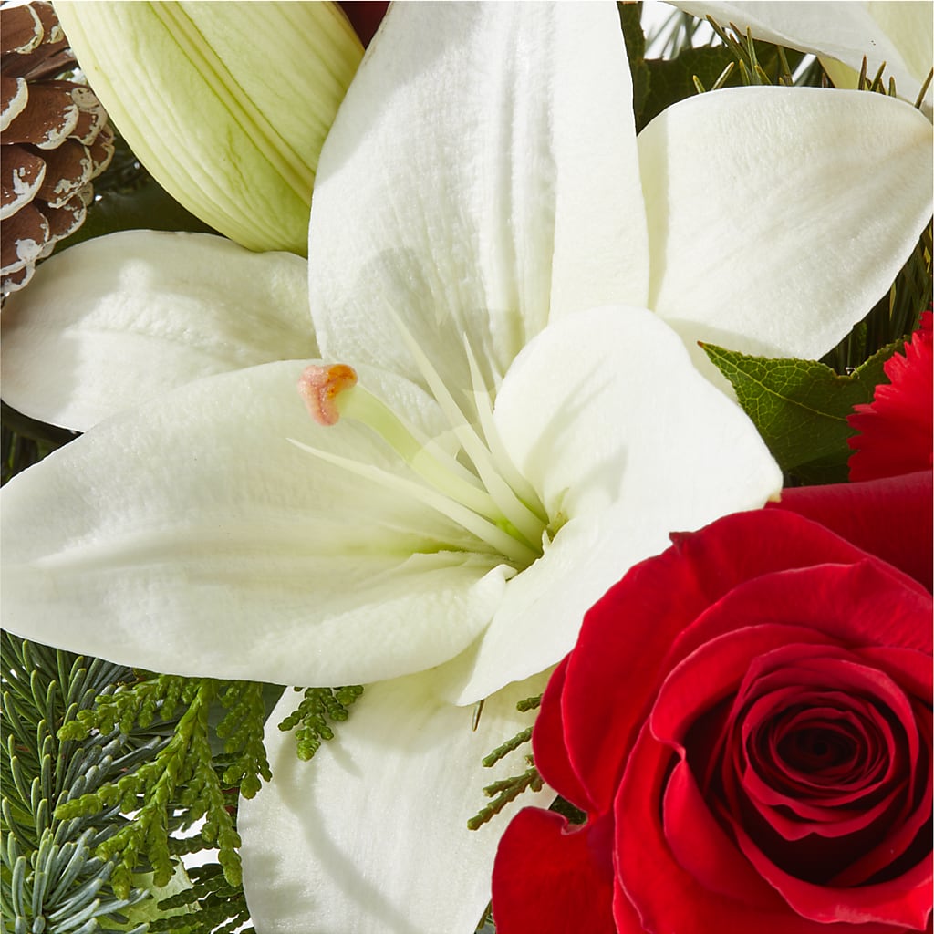 Oh So Jolly Bouquet –  Millennial Florist, Hartsdale NY