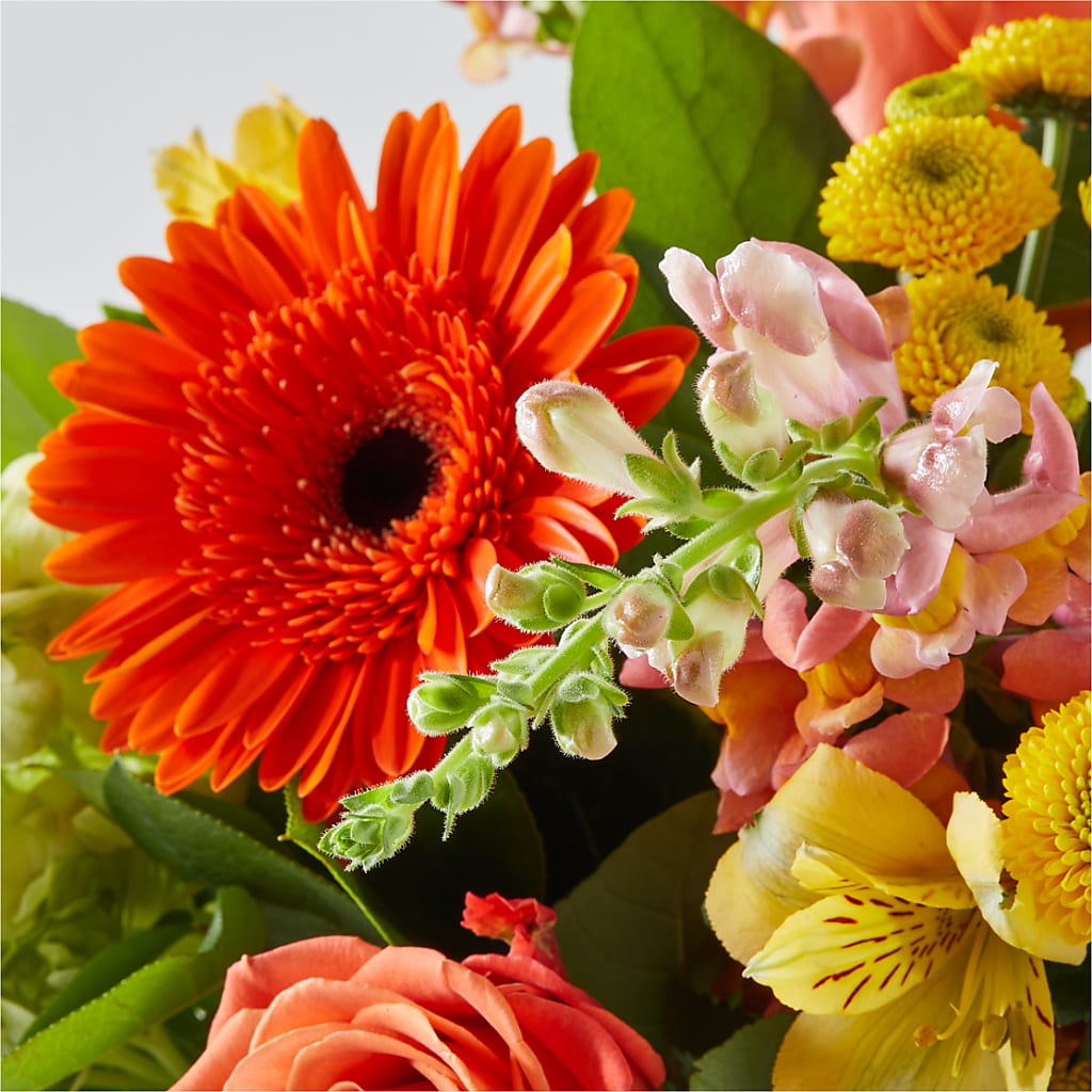Autumn Sunshine Bouquet –  Millennial Florist, Hartsdale NY