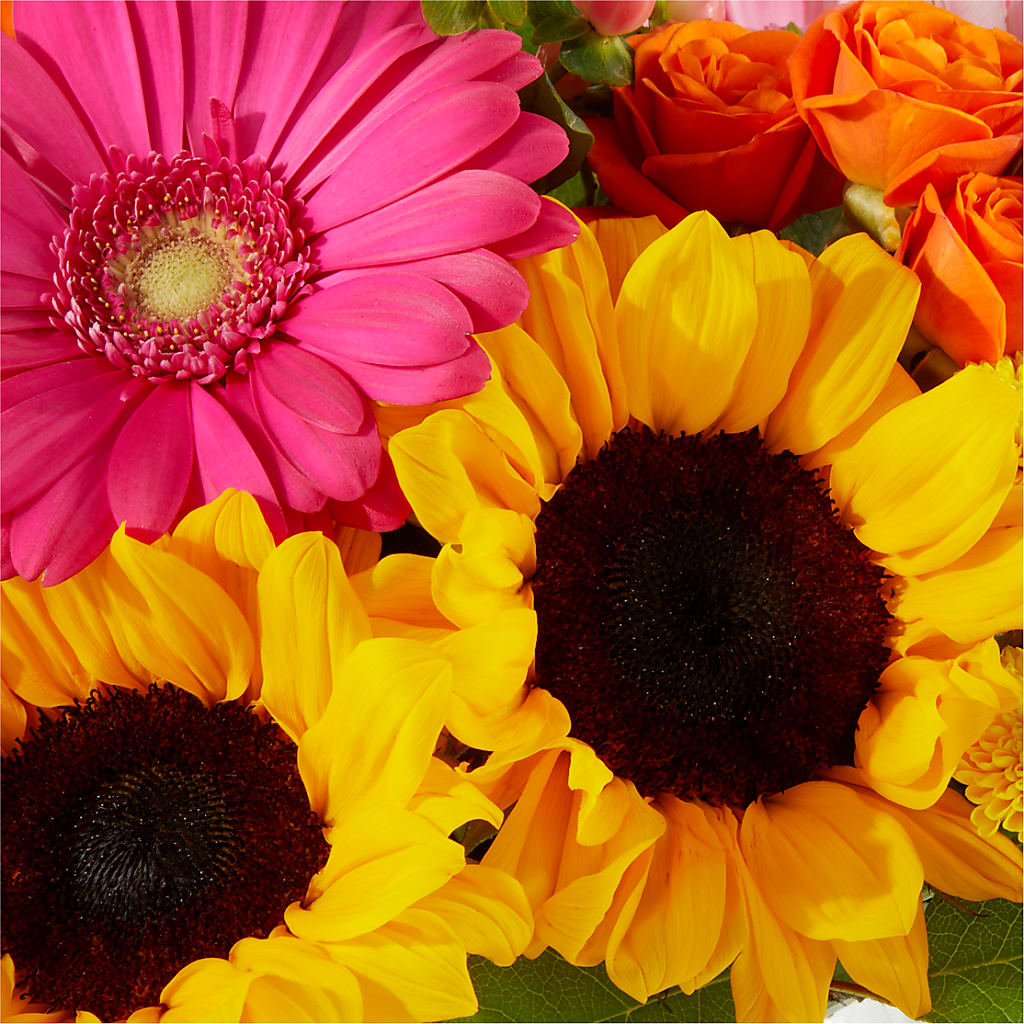 Beach Day Bouquet –  Millennial Florist, Hartsdale NY