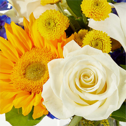 Stargazing Bouquet –  Millennial Florist, Hartsdale NY