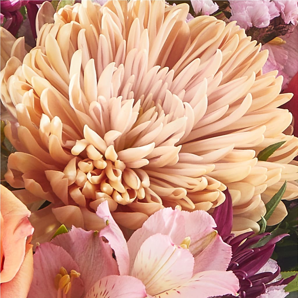 Berry Cobbler Bouquet –  Millennial Florist, Hartsdale NY