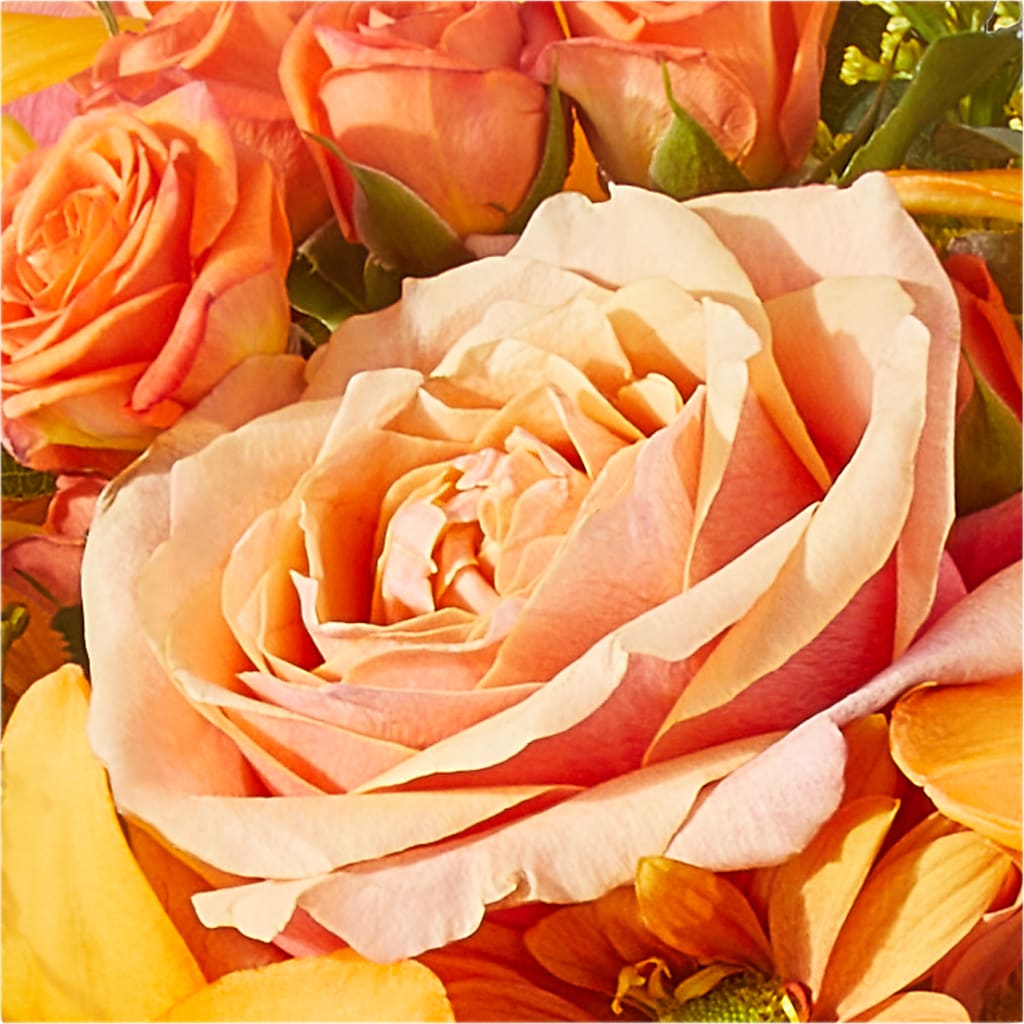 Harvest Hayride Bouquet –  Millennial Florist, Hartsdale NY