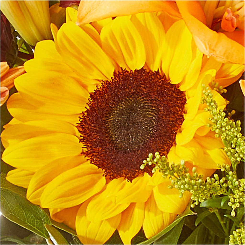 Seasons Change Bouquet –  Millennial Florist, Hartsdale NY