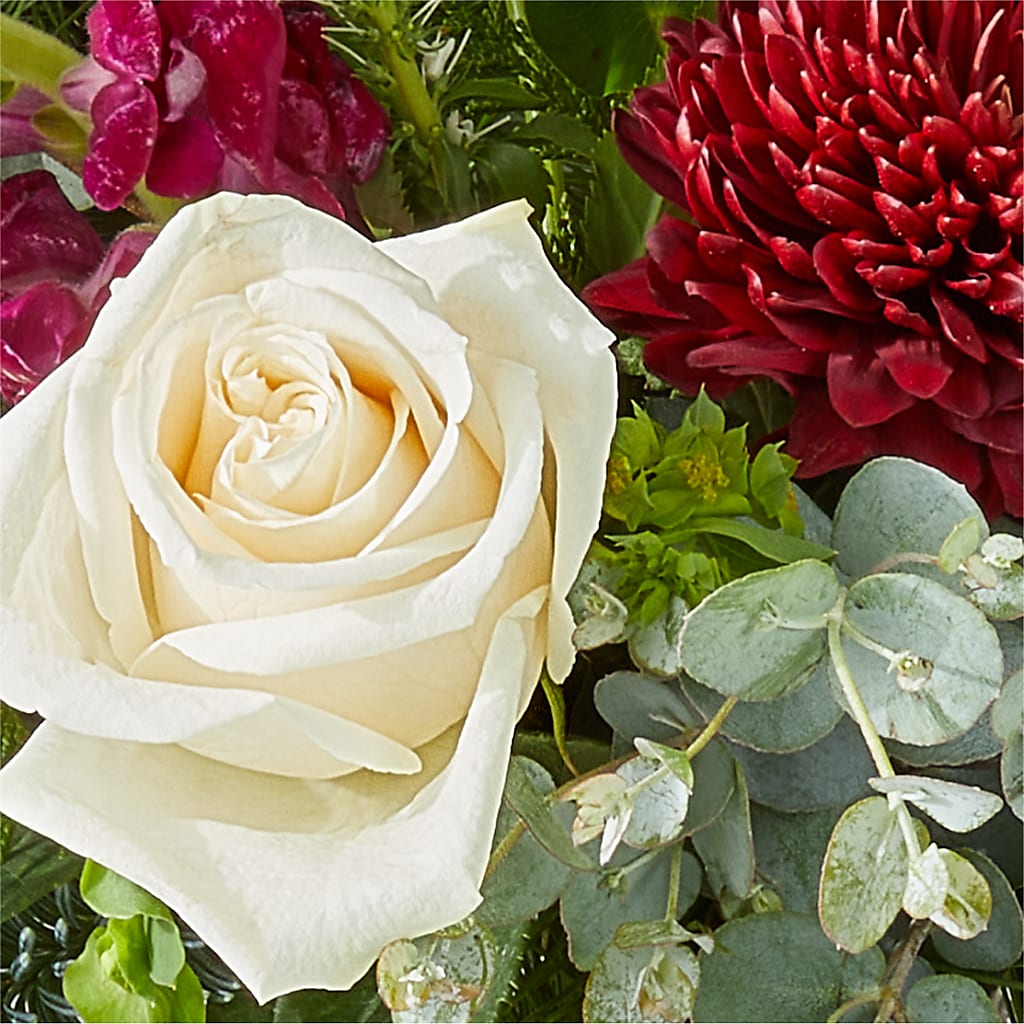 Cranberry Fizz Bouquet –  Millennial Florist, Hartsdale NY