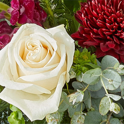 Cranberry Fizz Bouquet –  Millennial Florist, Hartsdale NY