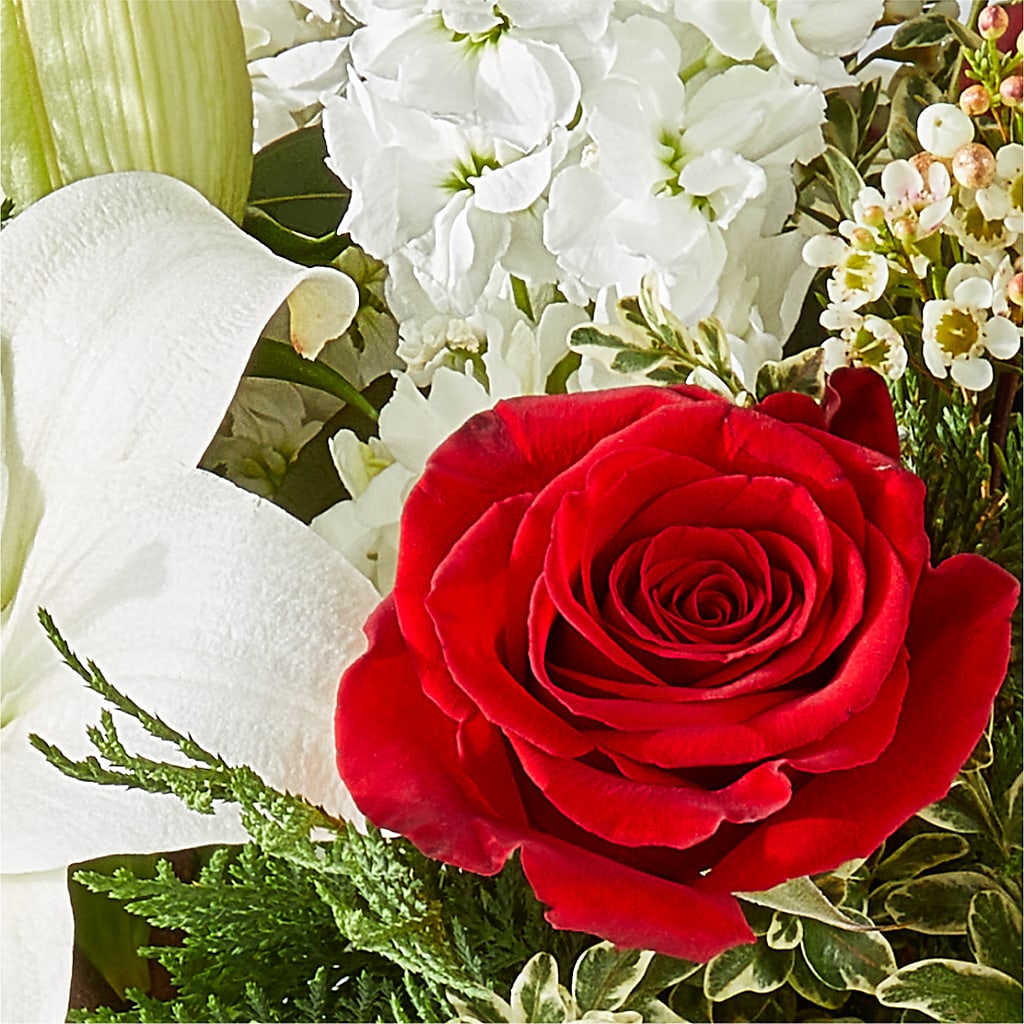 Twinkle Lights Bouquet –  Millennial Florist, Hartsdale NY