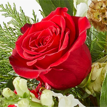 Deck the Halls Bouquet –  Millennial Florist, Hartsdale NY
