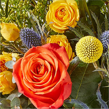 Disco Bouquet –  Millennial Florist, Hartsdale NY