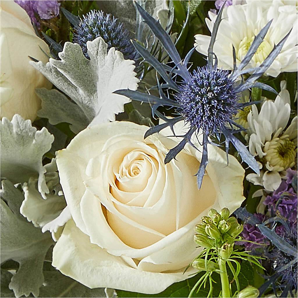 Shooting Star Bouquet –  Millennial Florist, Hartsdale NY