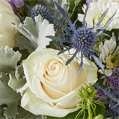 Shooting Star Bouquet –  Millennial Florist, Hartsdale NY
