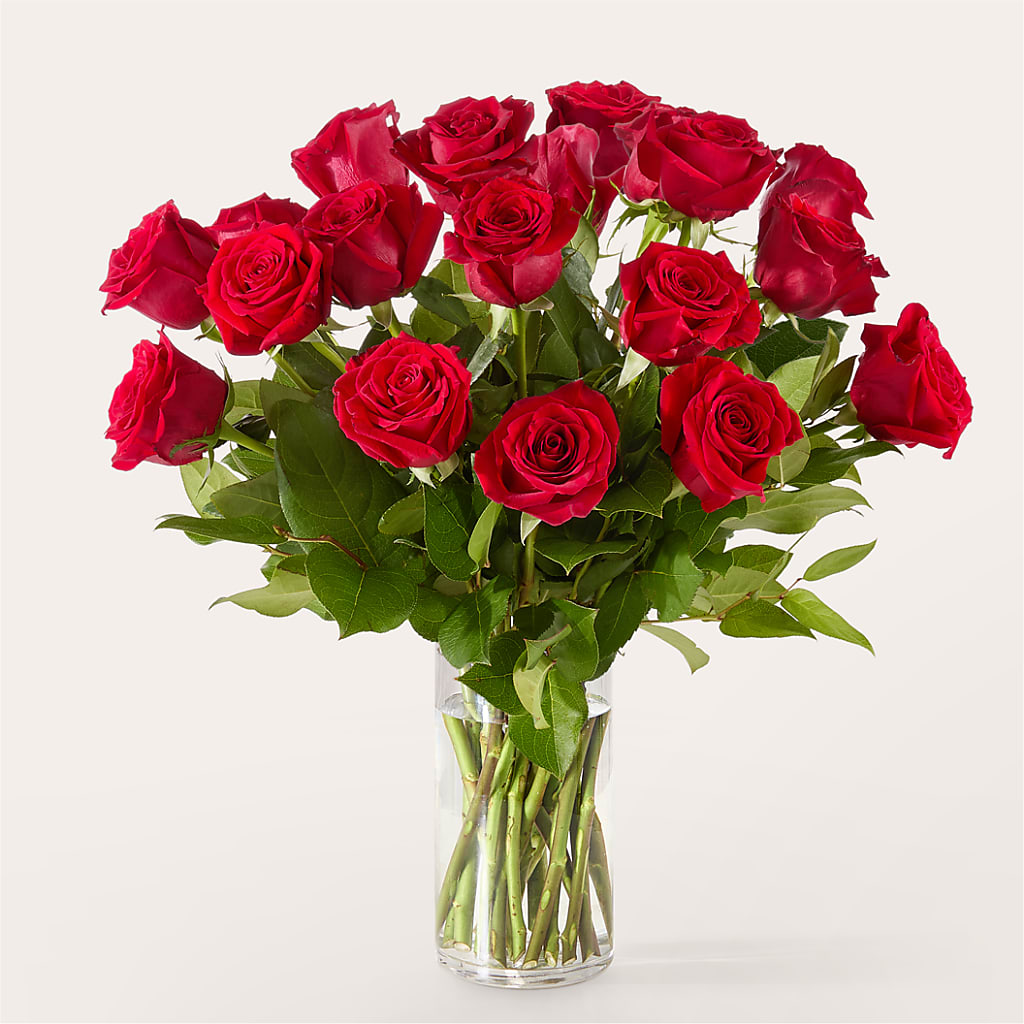 The One Red Rose Bouquet –  Millennial Florist, Hartsdale NY