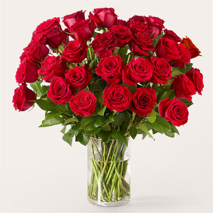 The One Red Rose Bouquet –  Millennial Florist, Hartsdale NY