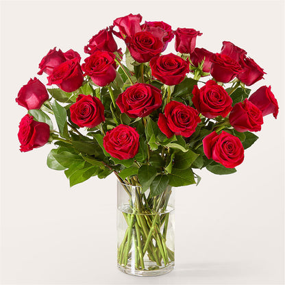 The One Red Rose Bouquet –  Millennial Florist, Hartsdale NY