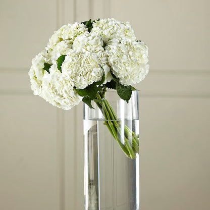 White Hydrangea Hand-Tied Bouquet –  Millennial Florist, Hartsdale NY
