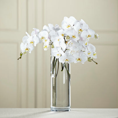 White Phalaenopsis Bouquet –  Millennial Florist, Hartsdale NY